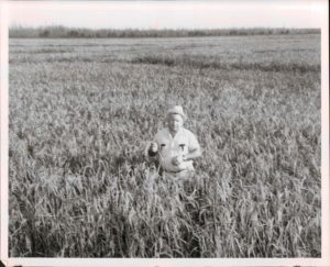 A man standing in the middle of a field.