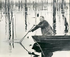 A man rowing a boat in the water.