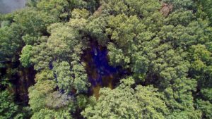 A view of trees from above with blue water.
