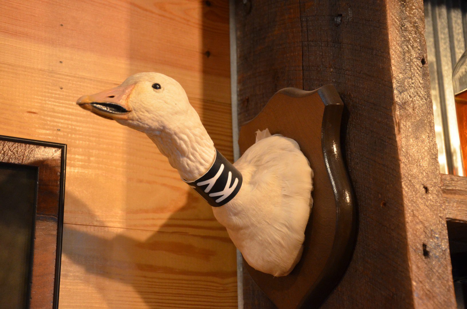 A duck head mounted to the wall of a wooden door.